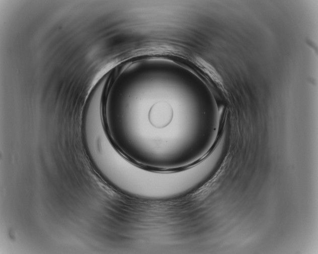 X0000097641226200802291356