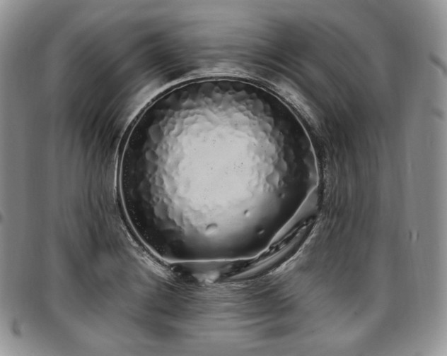 X0000097641228200802291356