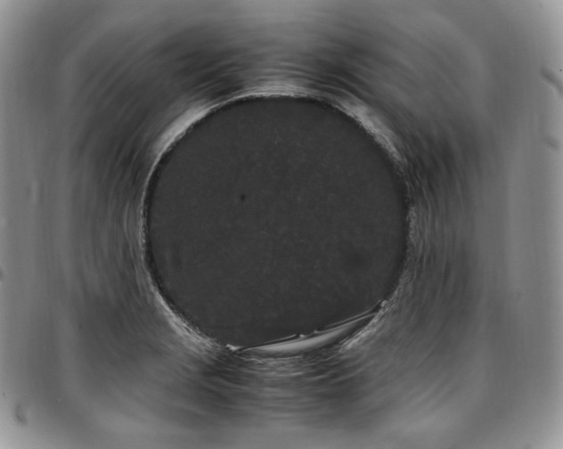 X0000097641229200802291356