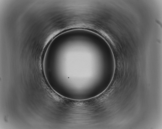 X0000097641230200802291356