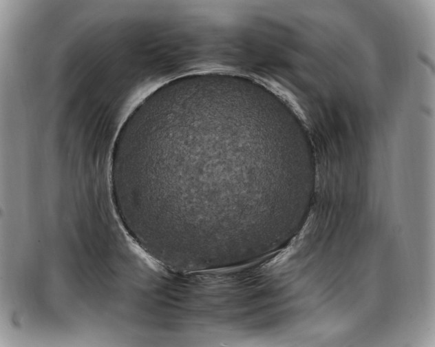X0000097641231200802291356