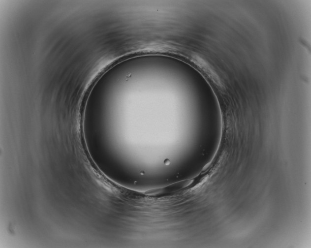 X0000097641232200802291356