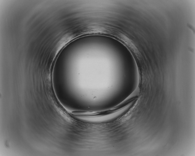 X0000097641234200802291356