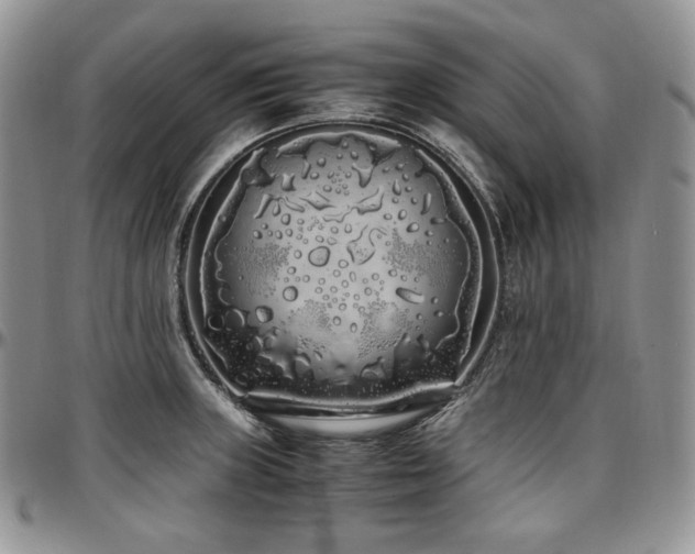 X0000097641235200802291356