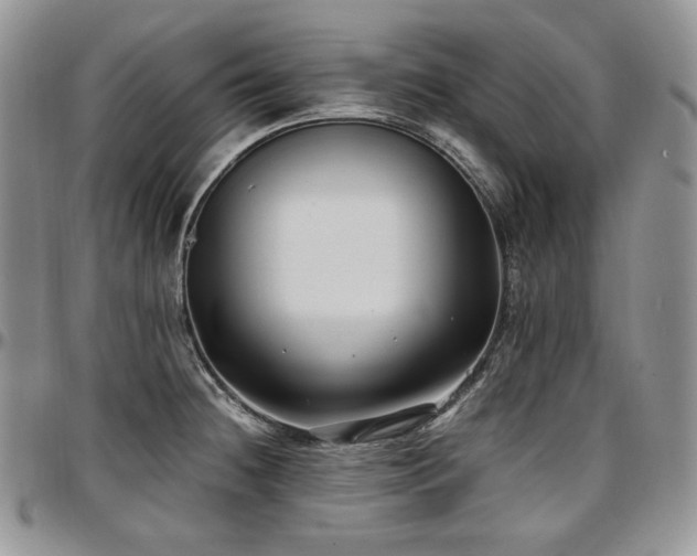 X0000097641236200802291356