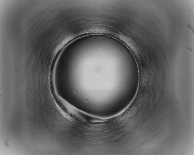 X0000097641237200802291356