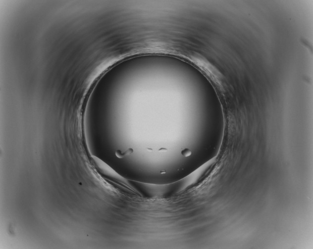 X0000097641238200802291356