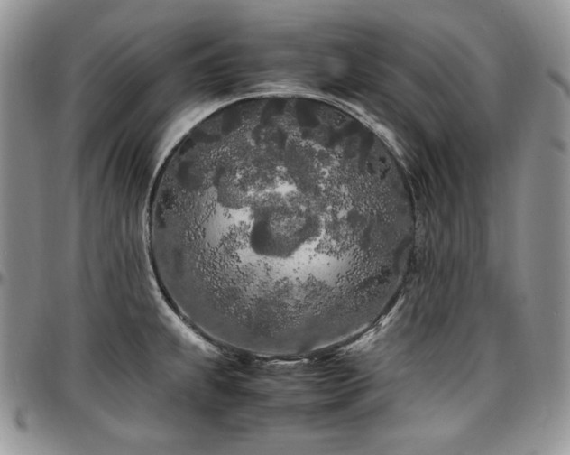 X0000097641239200802291356