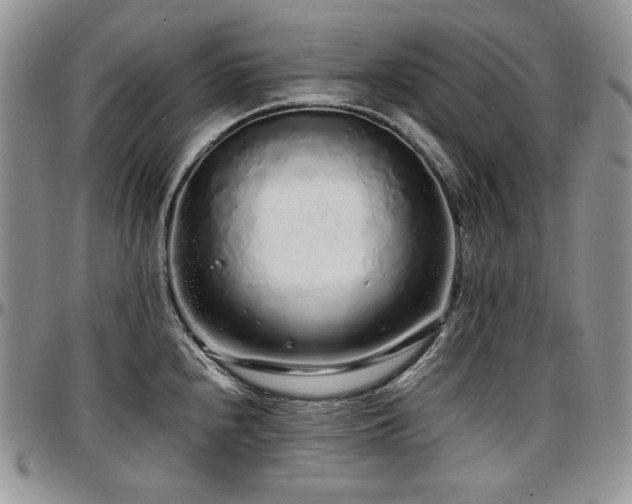 X0000097641240200802291356
