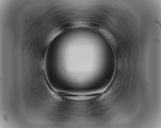 X0000097641241200802291356