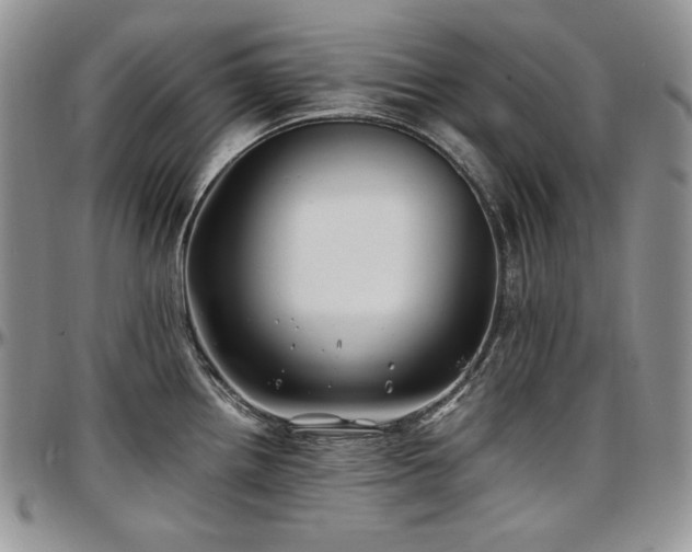 X0000097641242200802291356