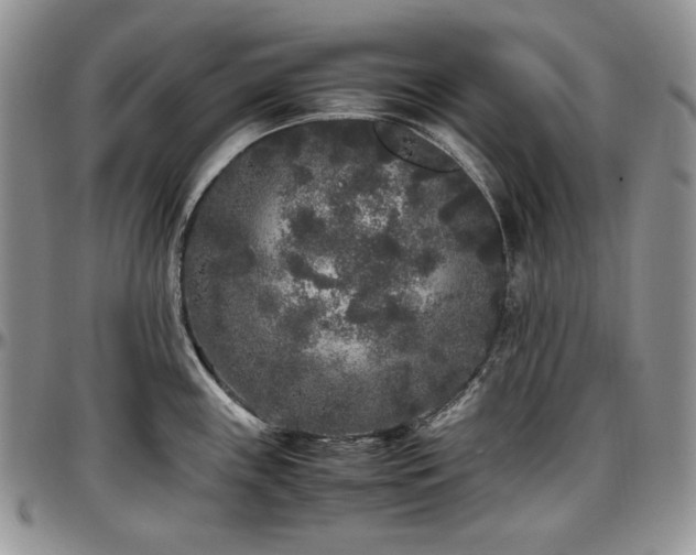 X0000097641243200802291356