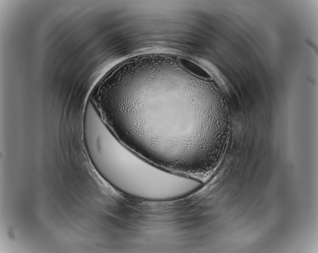 X0000097641244200802291356