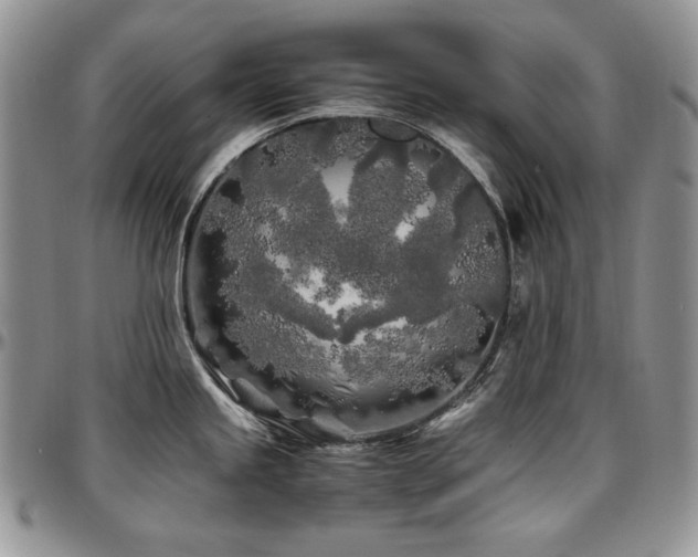 X0000097641245200802291356