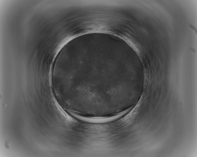 X0000097641246200802291356