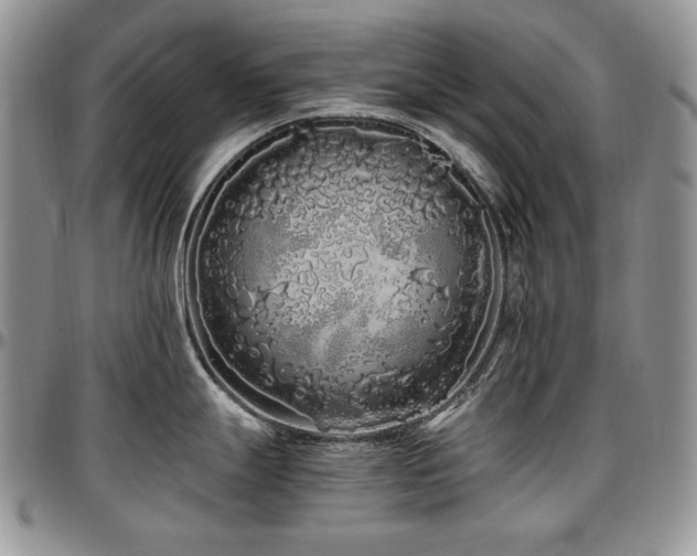 X0000097641247200802291356