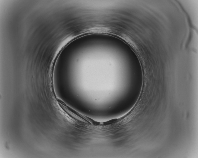 X0000097641248200802291356