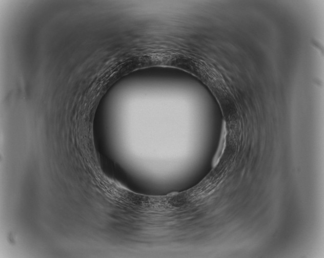 X0000097641249200802291356