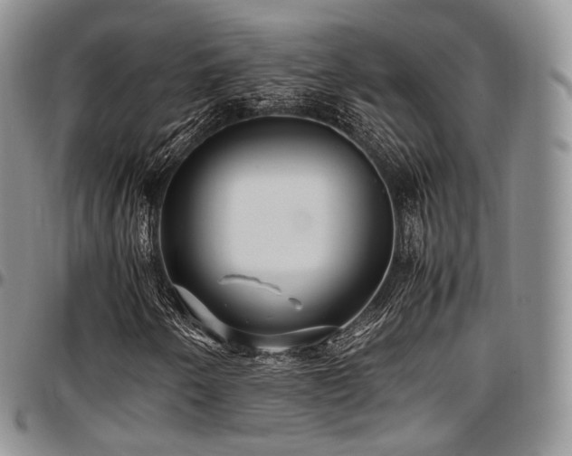 X0000097641250200802291356