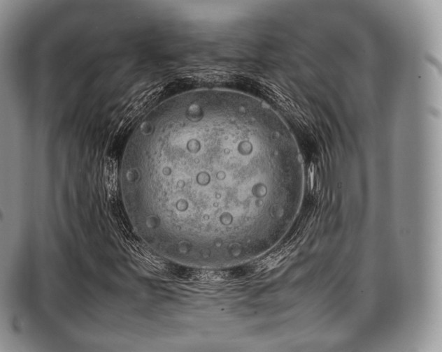 X0000097641251200802291356