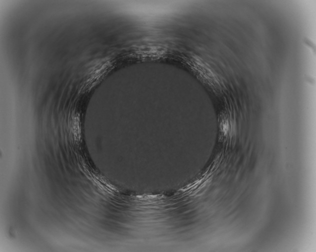 X0000097641252200802291356