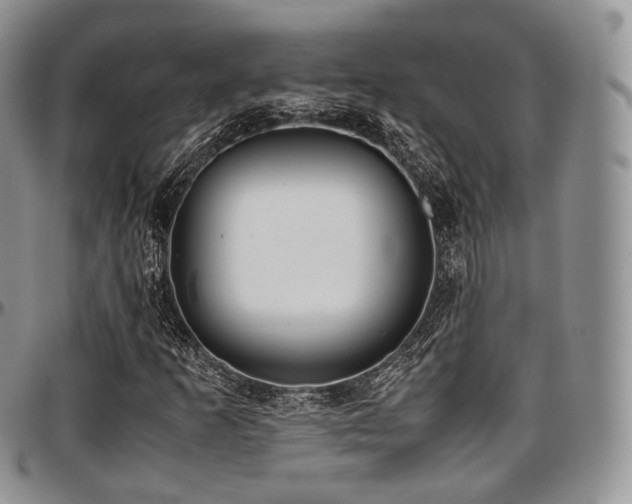 X0000097641253200802291356