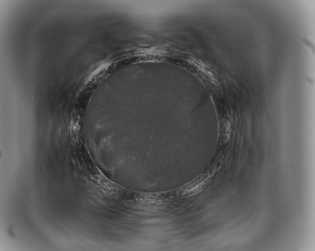 X0000097641254200802291356
