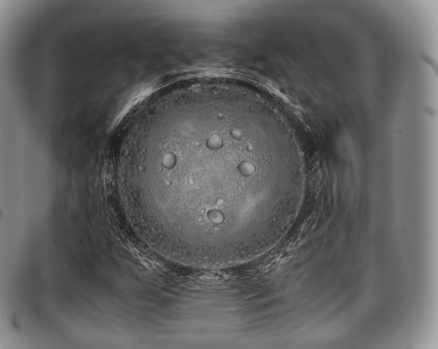X0000097641255200802291355