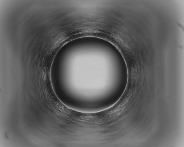 X0000097641257200802291355