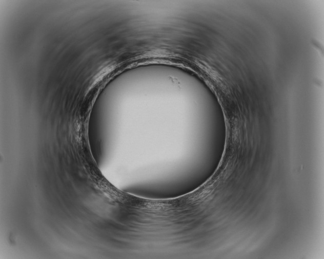 X0000097641258200802291355