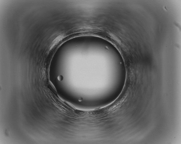 X0000097641259200802291355