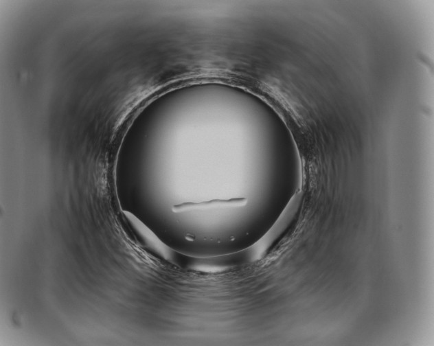 X0000097641260200802291355