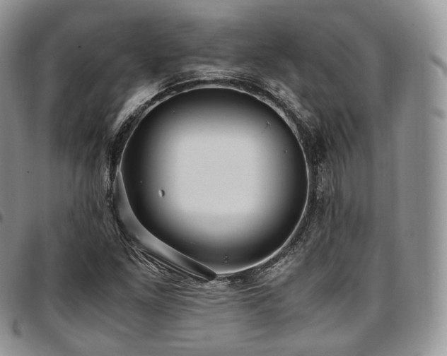 X0000097641261200802291355