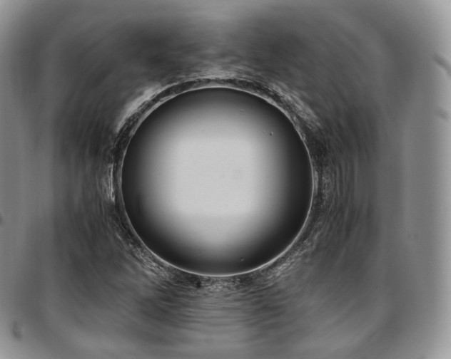 X0000097641262200802291355