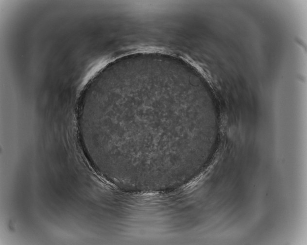 X0000097641263200802291355