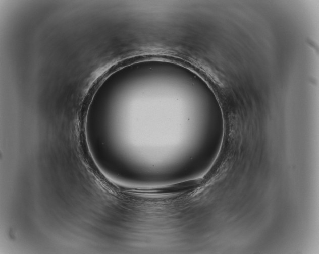 X0000097641264200802291355