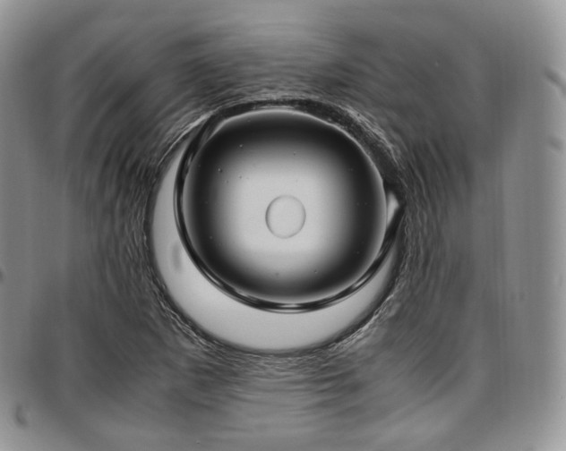 X0000097641265200802291355
