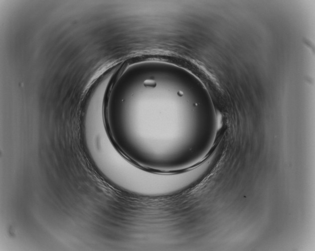 X0000097641266200802291355