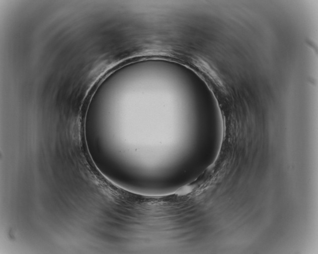 X0000097641268200802291355