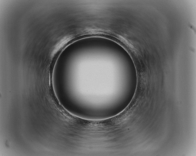 X0000097641269200802291355
