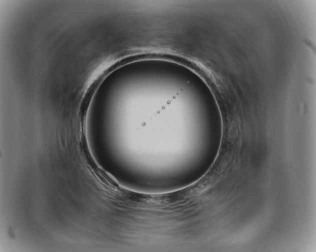 X0000097641271200802291355