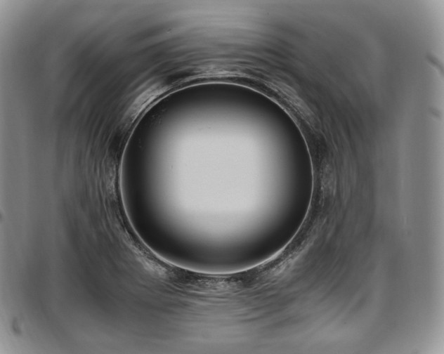 X0000097641273200802291355