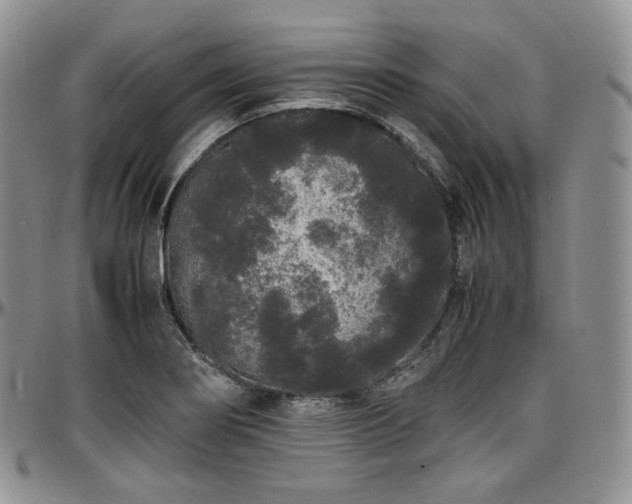 X0000097641274200802291355