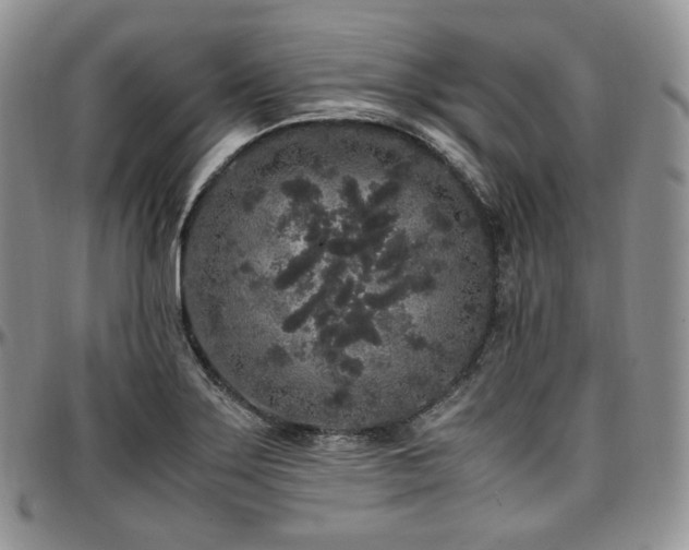 X0000097641275200802291355