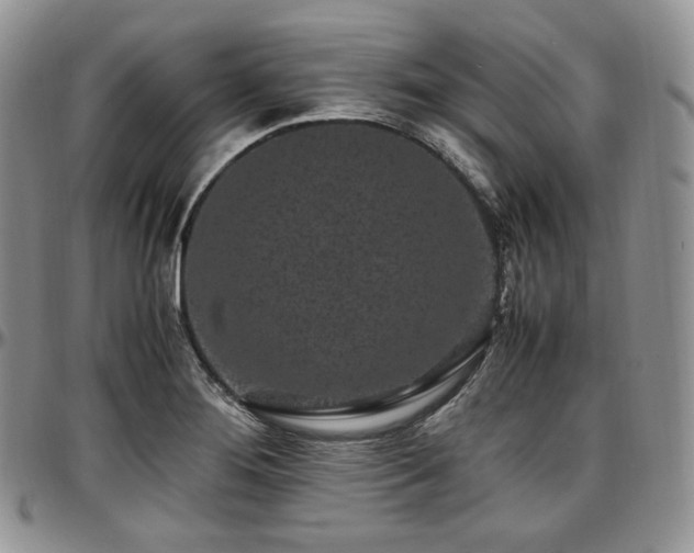 X0000097641276200802291355