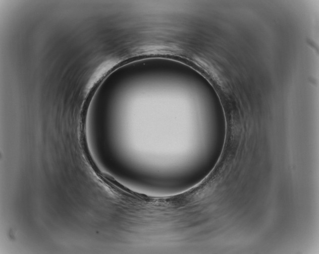 X0000097641277200802291355