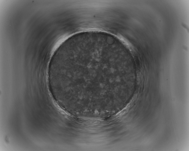 X0000097641279200802291355