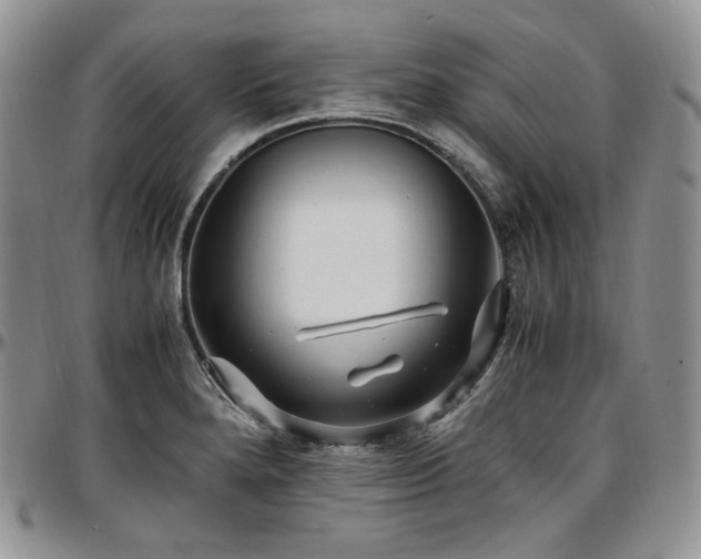 X0000097641280200802291355