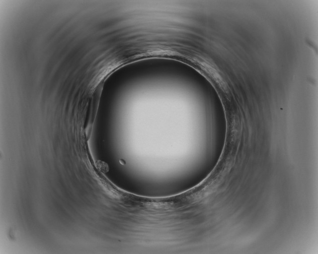 X0000097641281200802291355