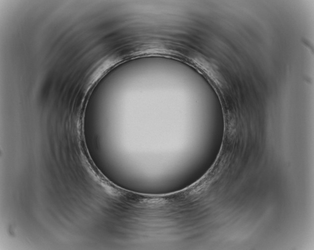 X0000097641282200802291355